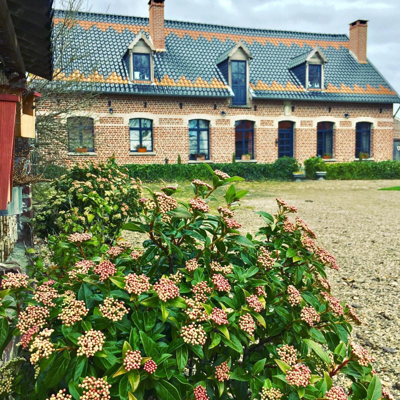 Paardenhof Guesthouse Esquelbecq Exterior foto